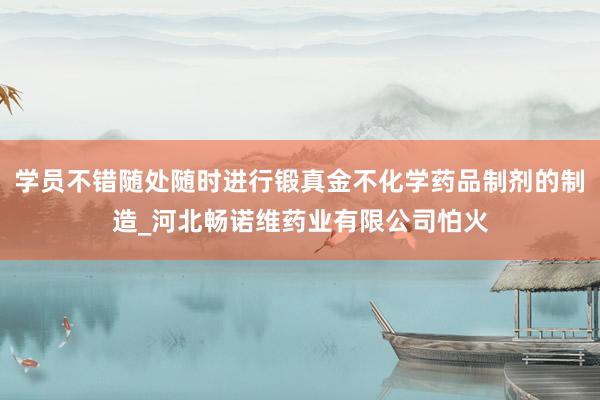 学员不错随处随时进行锻真金不化学药品制剂的制造_河北畅诺维药业有限公司怕火
