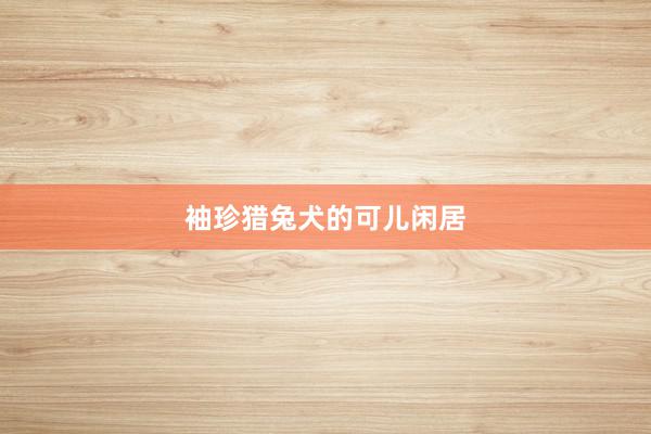 袖珍猎兔犬的可儿闲居