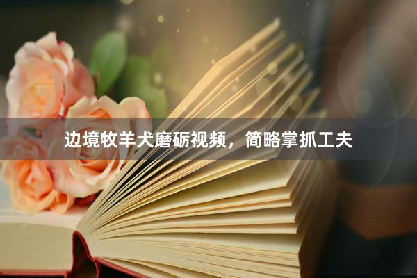 边境牧羊犬磨砺视频，简略掌抓工夫