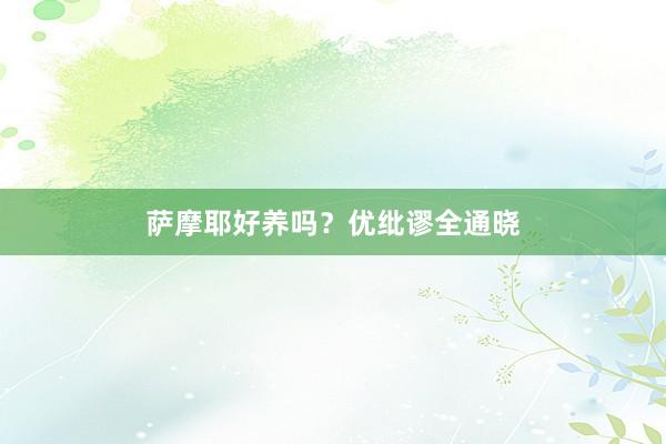 萨摩耶好养吗？优纰谬全通晓